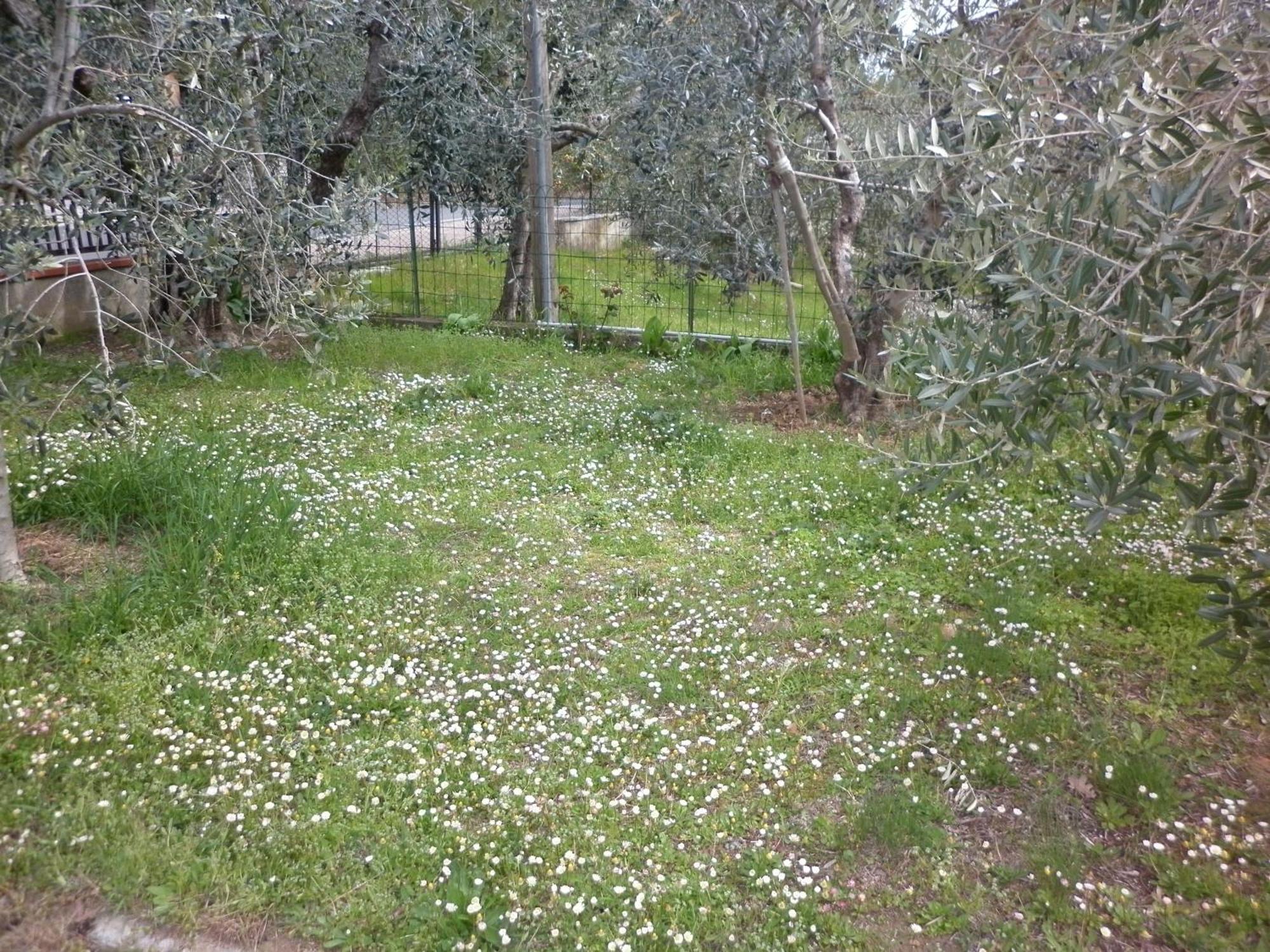 Casa Gli Ulivi Villa Montepulciano Bagian luar foto