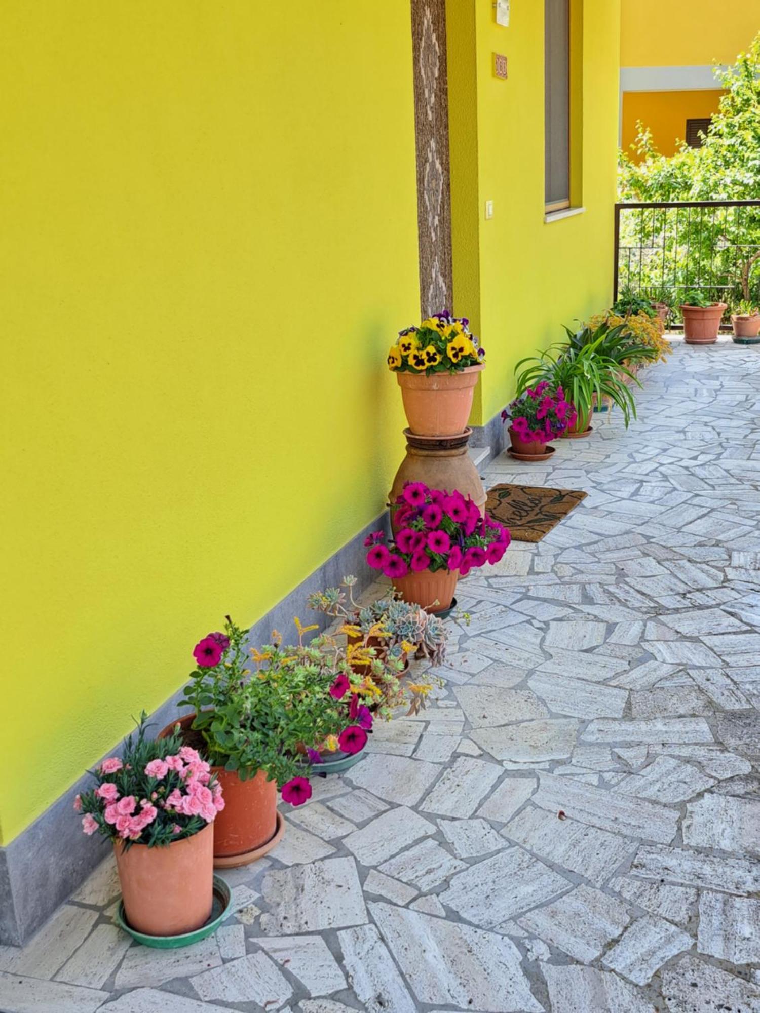 Casa Gli Ulivi Villa Montepulciano Bagian luar foto