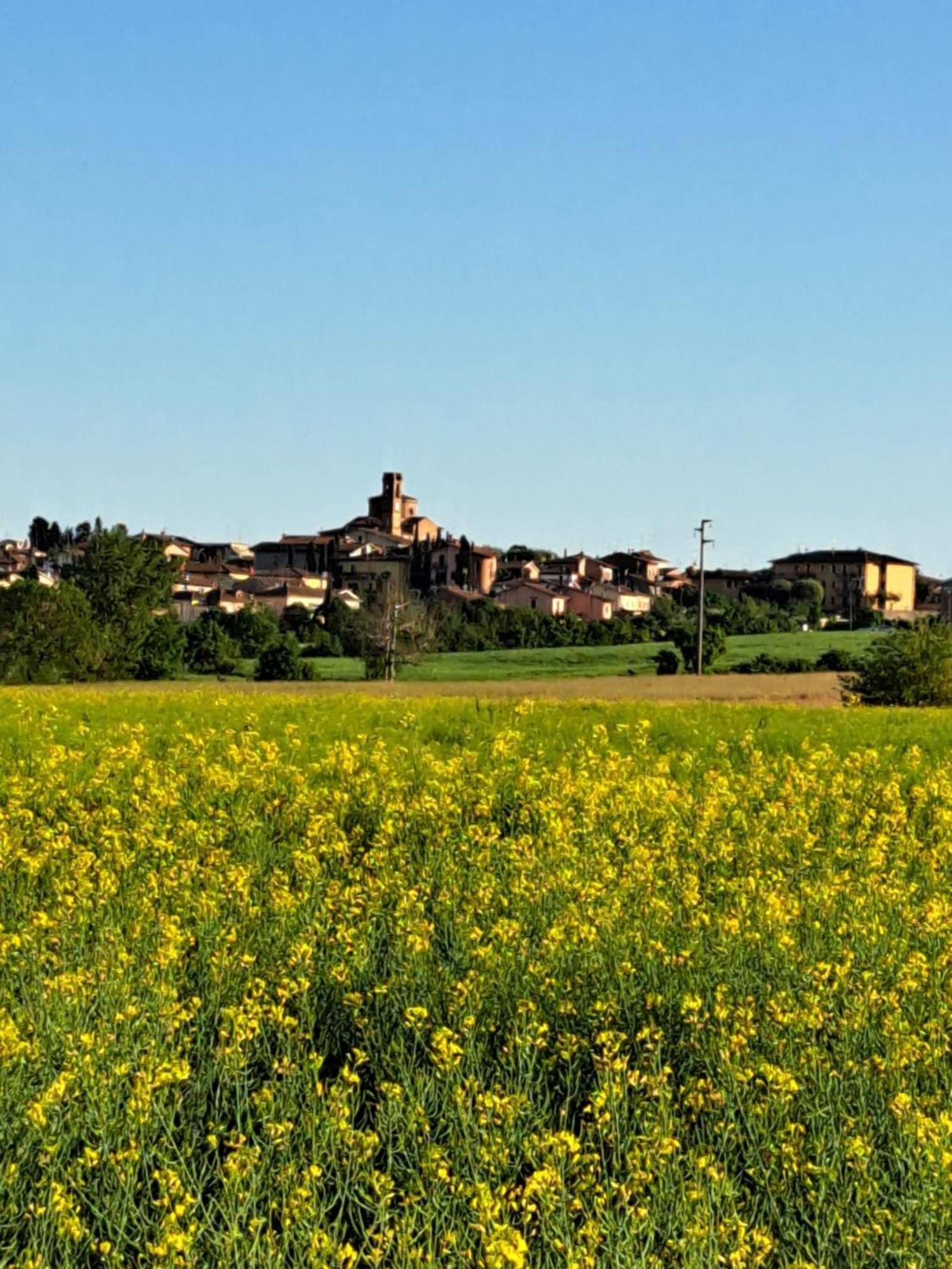 Casa Gli Ulivi Villa Montepulciano Bagian luar foto